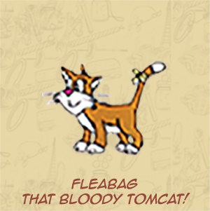Fleabag-thatbloody tomcat!